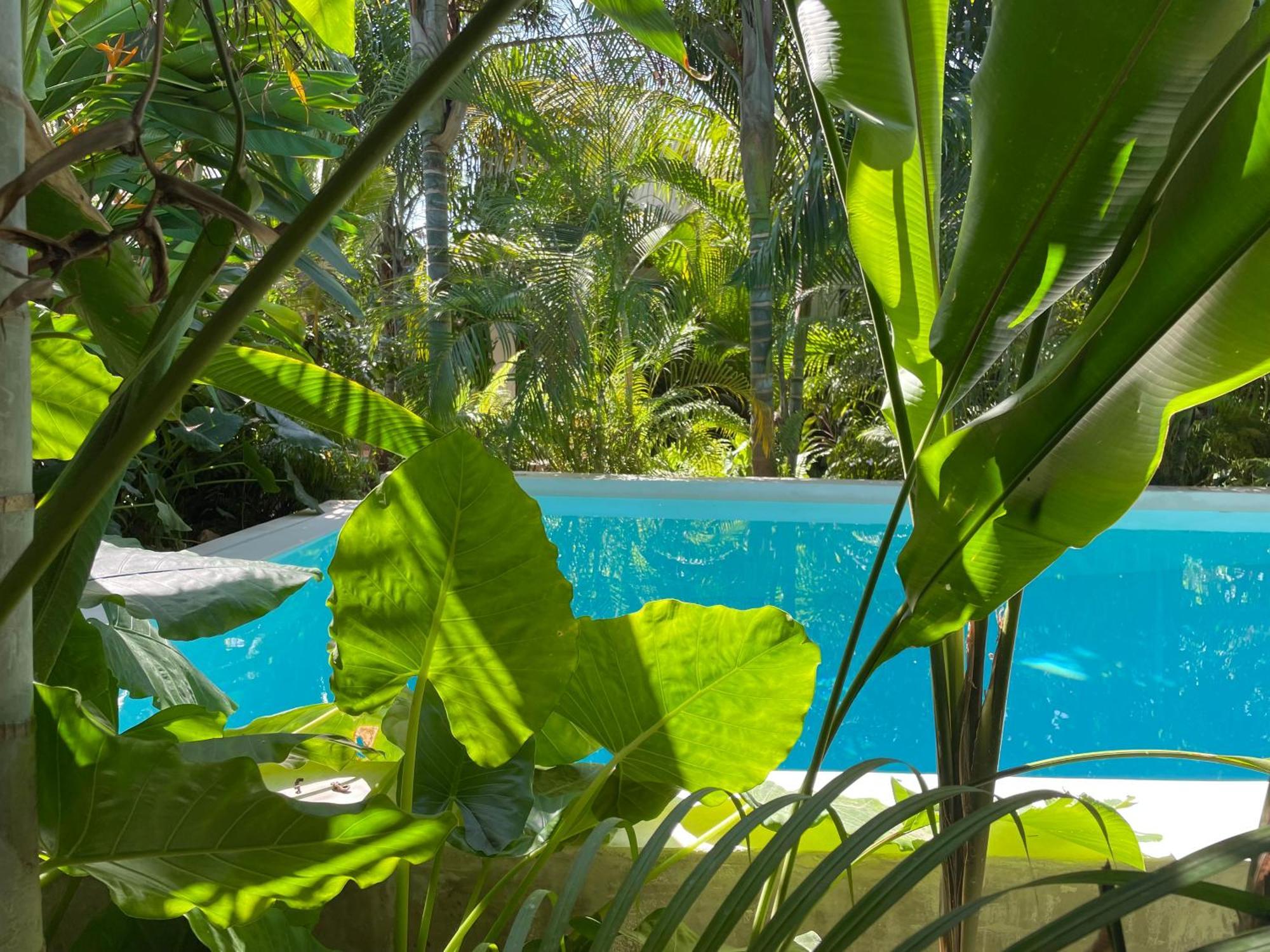 Gaia Villas Нунгви Экстерьер фото